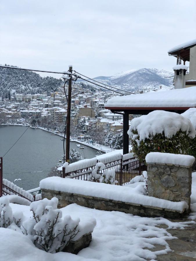 Apartment Manor House Est. 1890 Kastoria