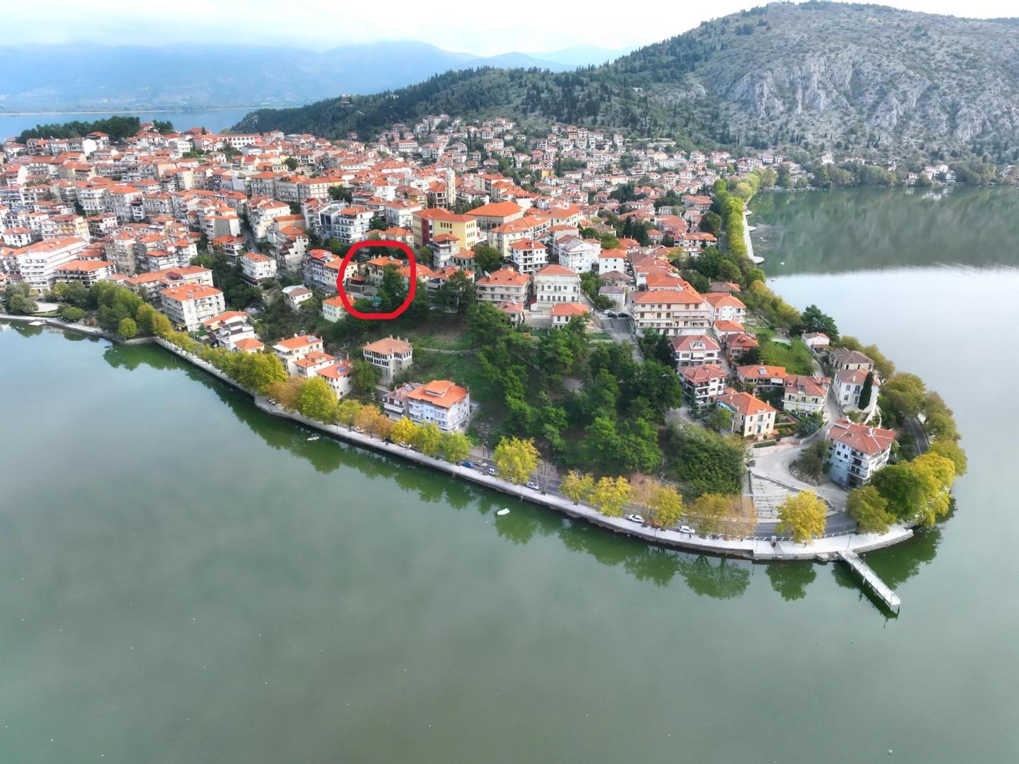 Apartment Manor House Est. 1890 Kastoria